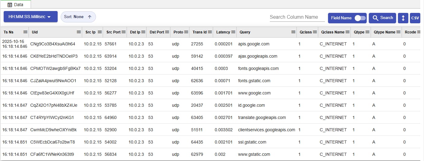 DNS analysis table showing searchable DNS transaction records with query, source, destination, latency, and response code fields
