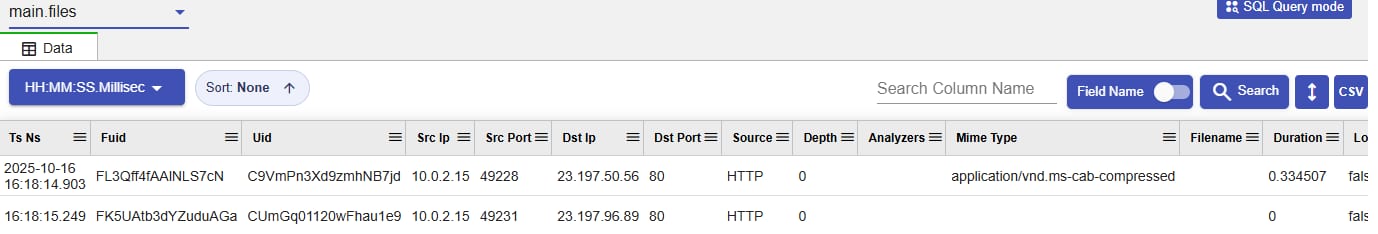 Extracted files analysis table showing file identifiers, source and destination addresses, analyzer source, MIME type, filename, and export controls